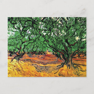 Vincent Van Gogh - Olijfbomen Kunstschilderij Briefkaart