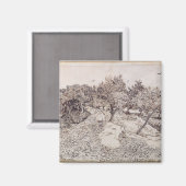 Vincent van Gogh | Olijfbomen Magneet (Voorkant / Achterkant)