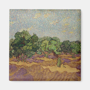 Vincent van Gogh - Olijfbomen Magneet