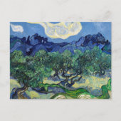 Vincent van Gogh - Olijfbomen met de Alpilles Briefkaart (Voorkant)