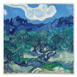 Vincent Van Gogh - Olijfbomen met de Alpilles Foto Afdruk