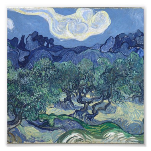 Vincent Van Gogh - Olijfbomen met de Alpilles Foto Afdruk (Voorkant)