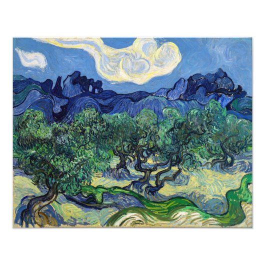 Vincent van Gogh - Olijfbomen met de Alpilles Foto Afdruk (Voorkant)