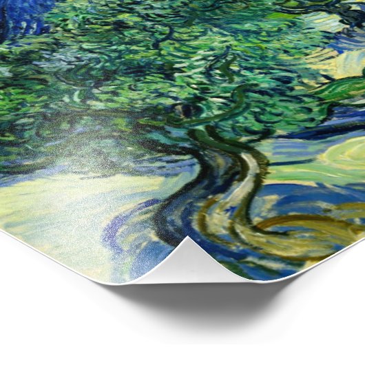 Vincent van Gogh, Olijfbomen met de Alpilles Foto Afdruk (Hoek)