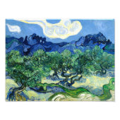 Vincent van Gogh, Olijfbomen met de Alpilles Foto Afdruk (Voorkant)