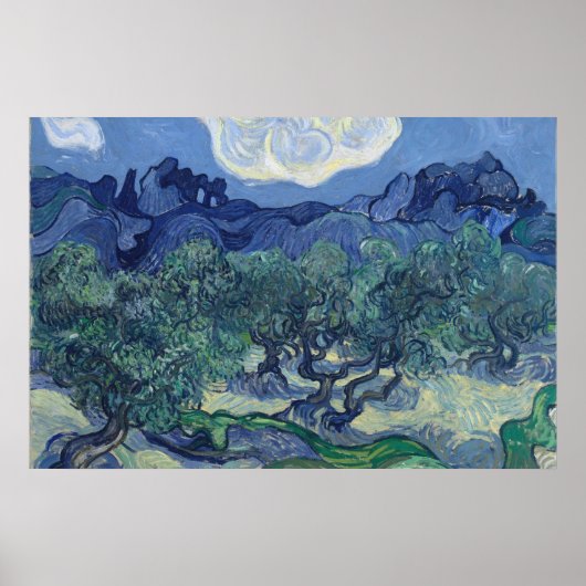 Vincent Van Gogh - Olijfbomen met de Alpilles Poster (Voorkant)