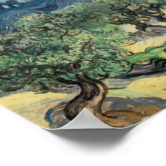 Vincent van Gogh Olijfbomen met de Alpilles Poster (Hoek)