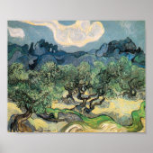 Vincent van Gogh Olijfbomen met de Alpilles Poster (Voorkant)