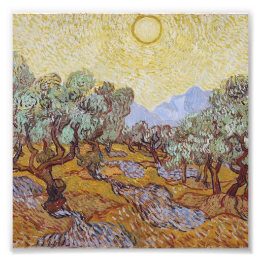 Vincent Van Gogh - Olijfbomen met Yellow Sky Foto Afdruk (Voorkant)