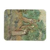 Vincent Van Gogh | Olijfboomgaard Magneet (Horizontaal)