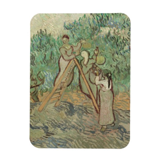 Vincent Van Gogh | Olijfboomgaard Magneet (Verticaal)