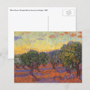 Vincent van Gogh - Olijfboomgaard, oranje lucht Briefkaart
