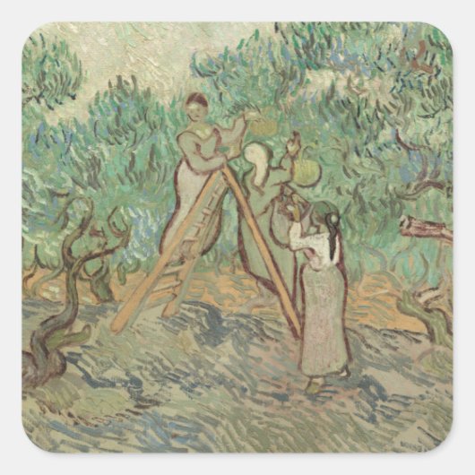 Vincent Van Gogh | Olijfboomgaard Vierkante Sticker (Voorkant)