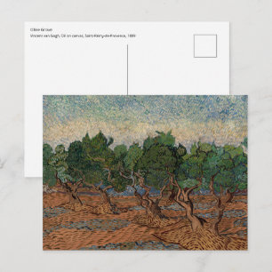Vincent van Gogh - Olijfgaard Briefkaart