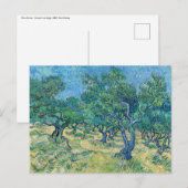 Vincent van Gogh - Olijfgaard Briefkaart (Voorkant / Achterkant)