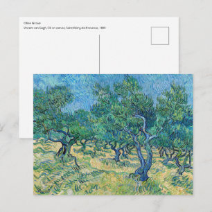 Vincent van Gogh - Olijfgaard Briefkaart