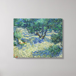 Vincent van Gogh - Olijfgaard Canvas Afdruk