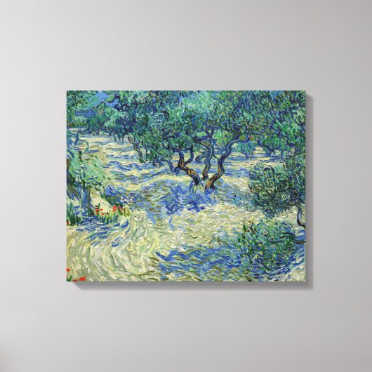 Vincent van Gogh - Olijfgaard Canvas Afdruk (Voorkant)