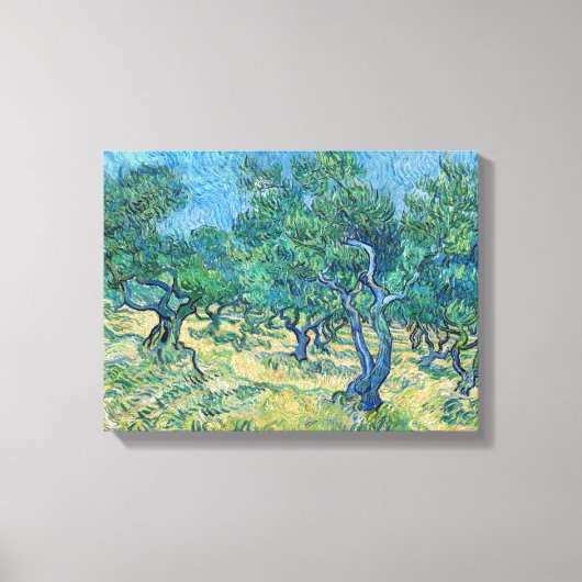 Vincent van Gogh - Olijfgaard Canvas Afdruk (Voorkant)