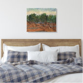 Vincent van Gogh - Olijfgaard Canvas Afdruk (Insitu (Slaapkamer))
