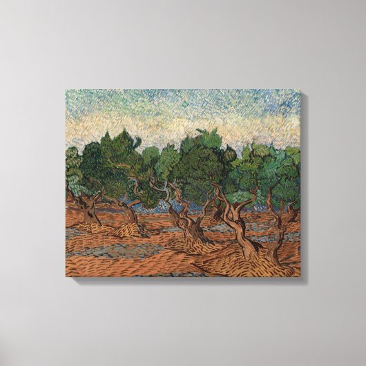 Vincent van Gogh - Olijfgaard Canvas Afdruk (Voorkant)