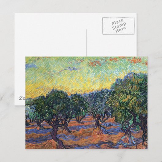 Vincent van Gogh Olijfgaard Impressionisme Kunst Briefkaart (Voorkant / Achterkant)