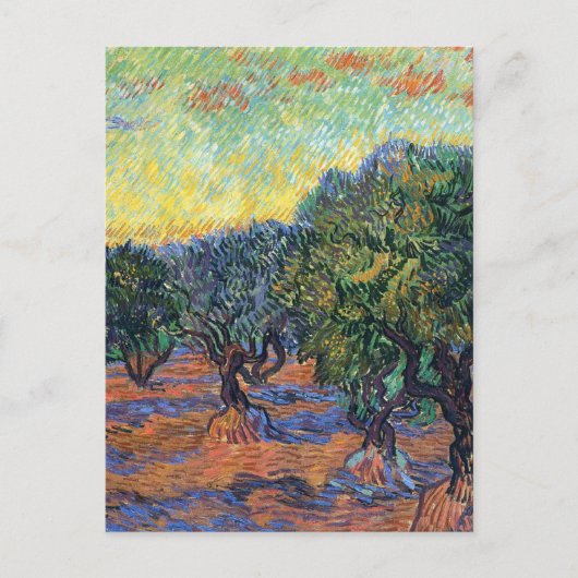 Vincent van Gogh Olijfgaard Impressionisme Kunst Briefkaart (Voorkant)