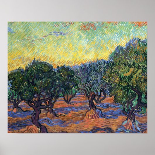 Vincent van Gogh Olijfgaard Impressionisme Kunst Poster (Voorkant)