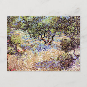 Vincent Van Gogh - Olijfgaard Kunstschilderij Briefkaart