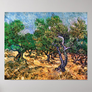Vincent Van Gogh - Olijfgaard Kunstschilderij Poster