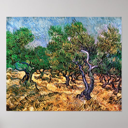 Vincent Van Gogh - Olijfgaard Kunstschilderij Poster (Voorkant)