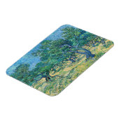 Vincent van Gogh - Olijfgaard Magneet (Linkerzijde)