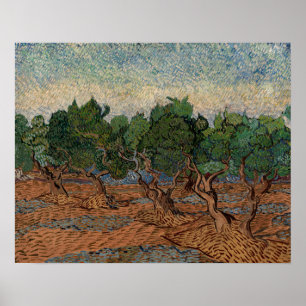 Vincent van Gogh - Olijfgaard Poster