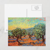 Vincent Van Gogh - Olijfgrove met Oranje Sky Briefkaart (Voorkant / Achterkant)