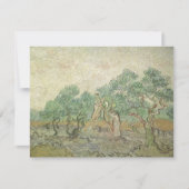 Vincent van Gogh - Olijfplukken (Voorkant)