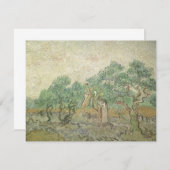 Vincent van Gogh - Olijfplukken (Voorkant / Achterkant)