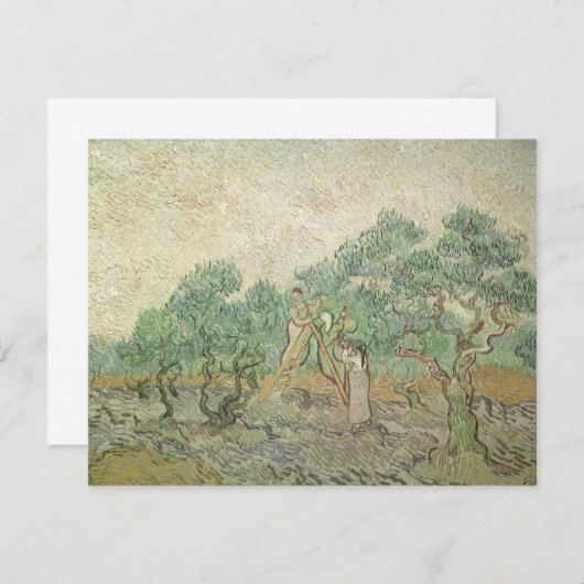 Vincent van Gogh - Olijfplukken (Voorkant / Achterkant)