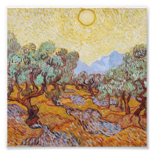 Vincent Van Gogh - Olijven met gele hemel Foto Afdruk