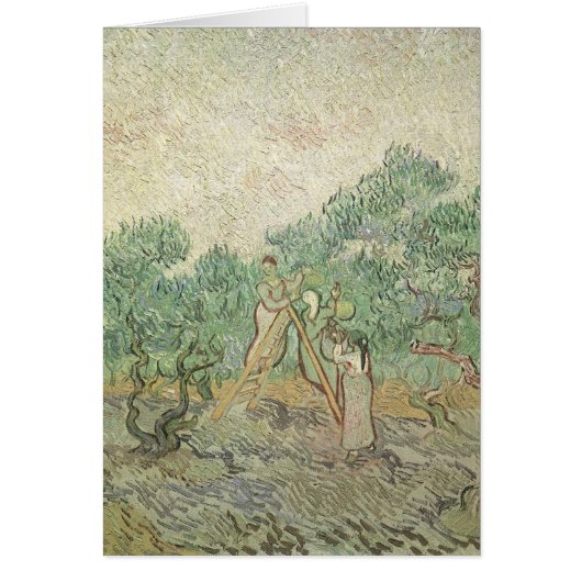 Vincent van Gogh - Olijven plukken (Voorkant)