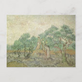 Vincent van Gogh - Olijven plukken Briefkaart (Voorkant)