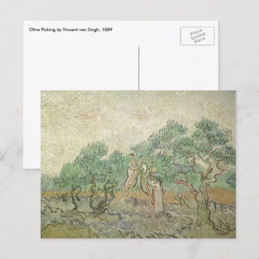 Vincent van Gogh - Olijven plukken Briefkaart (Voorkant / Achterkant)