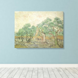 Vincent van Gogh - Olijven plukken Canvas Afdruk