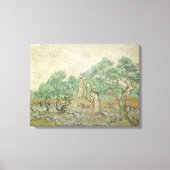 Vincent van Gogh - Olijven plukken Canvas Afdruk (Voorkant)
