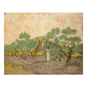 Vincent van Gogh - Olijven plukkende vrouwen Foto Afdruk