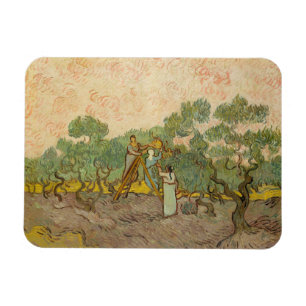 Vincent van Gogh - Olijven plukkende vrouwen Magneet
