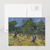 Vincent van Gogh - Olive Grove Briefkaart (Voorkant / Achterkant)