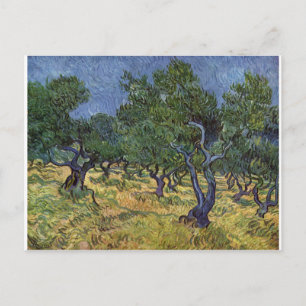 Vincent van Gogh - Olive Grove Briefkaart