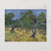 Vincent van Gogh - Olive Grove Briefkaart (Voorkant)