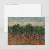 Vincent van Gogh - Olive Grove Briefkaart (Voorkant / Achterkant)