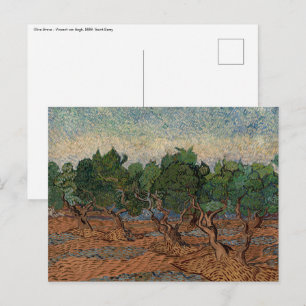 Vincent van Gogh - Olive Grove Briefkaart
